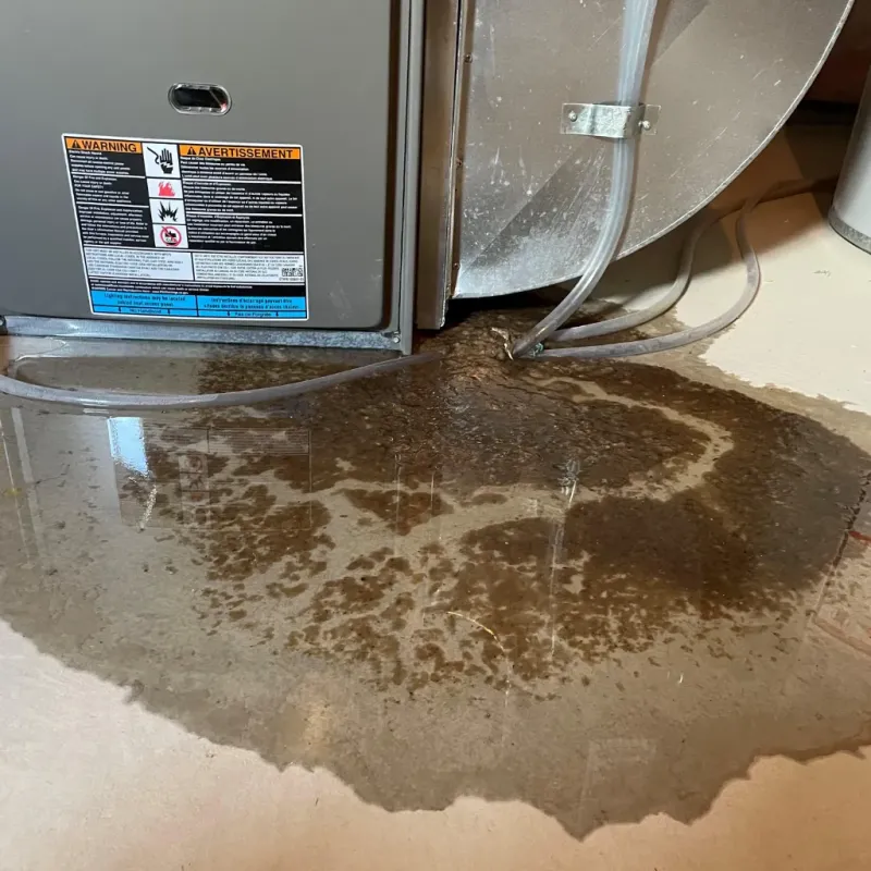 Appliance Leak Cleanup in Robersonville, NC